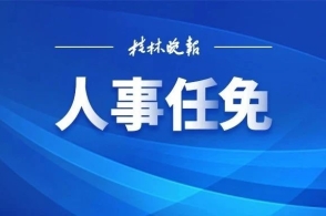 百色2024最新人事任免信息概览
