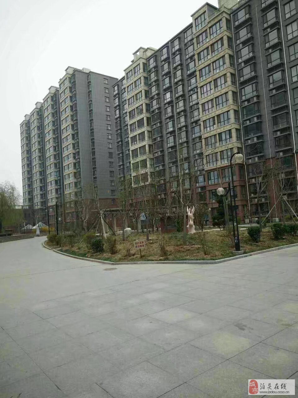泊头冀泰丽景最新房价及其背后的故事