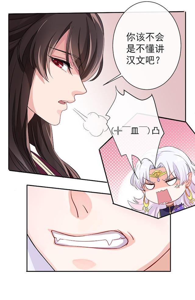神秘面纱下的真相，最新奇谈揭秘真相