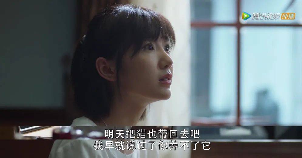 无女主兄弟情深日常故事，一部电视剧的纯粹兄弟情展现