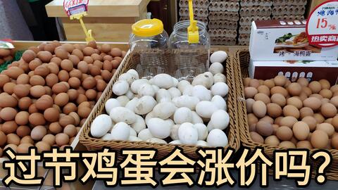 木糖醇价格揭秘，甜蜜日常趣事中的价格探讨