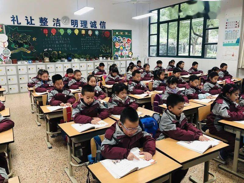 上海小学比赛，全面育人还是竞赛选拔的探讨？