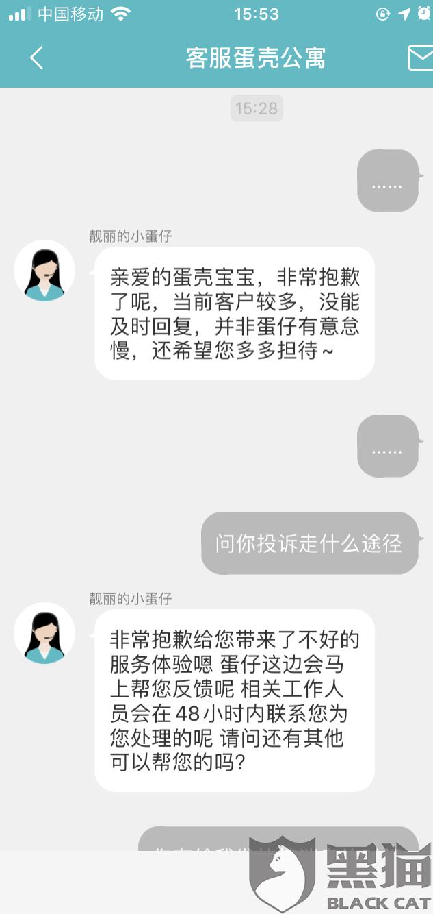 蛋壳公寓最新动态，家的温馨与友情的绽放时刻