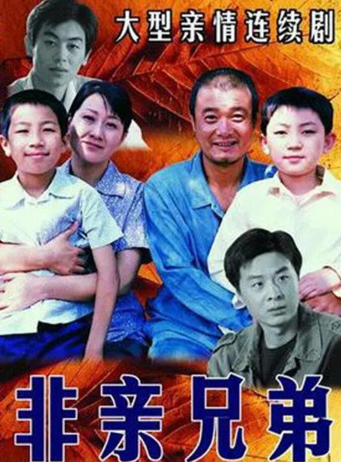 非亲兄弟电视剧全集观看指南，完整剧情一览无余
