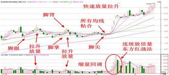零基础入门教程，如何解读股票图表📈📊