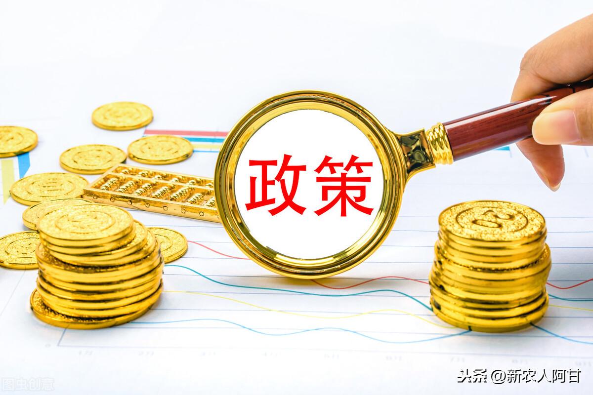 探索小巷独特小店，最新创业用地资讯大揭秘！