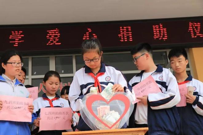 最新强制捐款，爱与陪伴的交织旅程