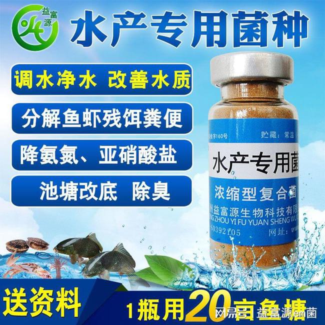 碘制剂最新进展，小巷深处的神秘宝藏探索