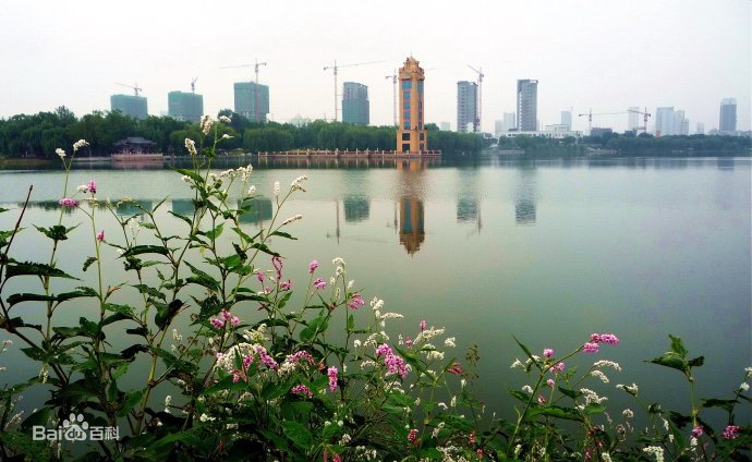 最新昌乐，背景、事件与地位的深度解读