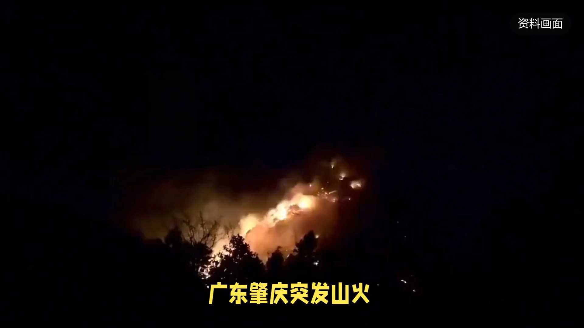 肇庆火灾最新情况概述与论述文分析